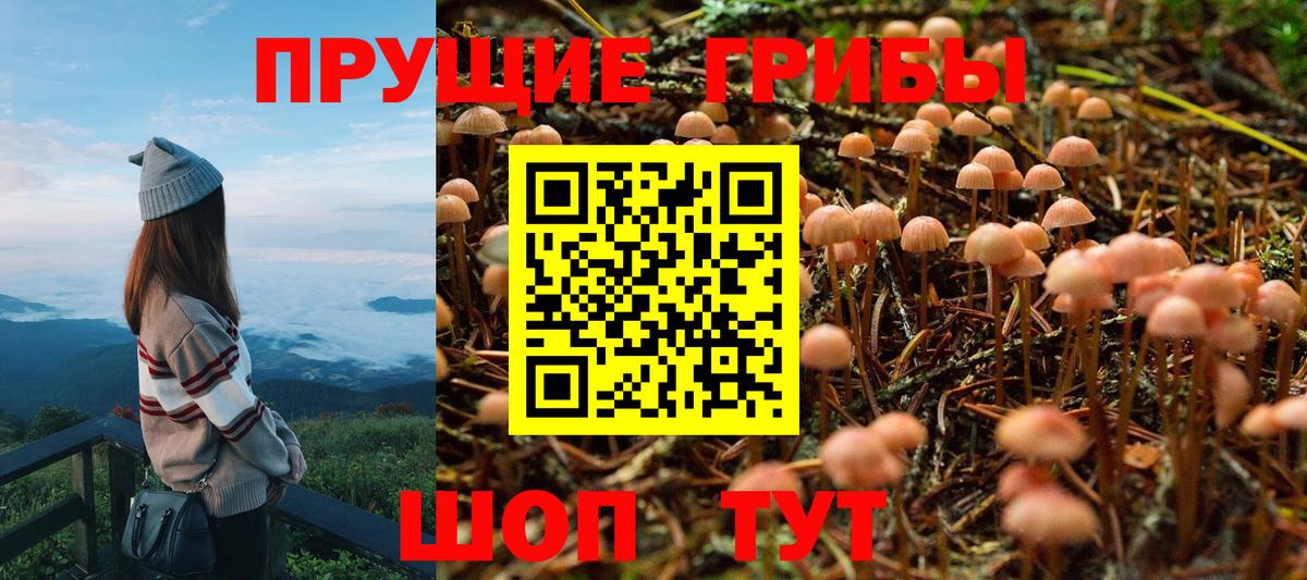 Псилоцибиновые грибы мицелий Междуреченск