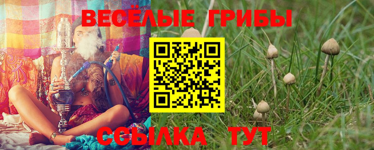 Междуреченск  наркошоп  Вход с VPN  Псилоцибиновые грибы GOLDEN TEACHER 